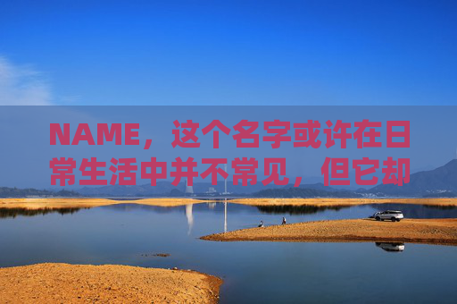 NAME，这个名字或许在日常生活中并不常见，但它却在某些领域里扮演着重要的角色。今天，让我们一起来探索这个名字背后的故事和意义